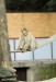 Makak Magot (Macaca Sylvanus)3 - Zoopark Chomutov
